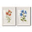 «Botanical I», ensemble de 2 reproductions d'art-271774472-271774477-271774487