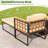 Michaelle Outdoor Lounge Chair with Ottoman