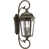 Antique Bronze