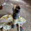 Customer photo 3 of 3