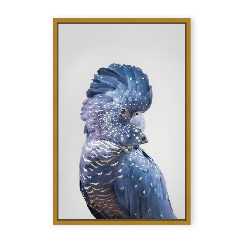 Nature Inspired Black Cockatoo by  - Picture Frame Photograph on Paper, 48" H x 32" W x 1.125" D, Framed Matted Print, Black