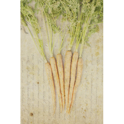 Herb Still Life III by Irena Orlov - Wrapped Canvas Print