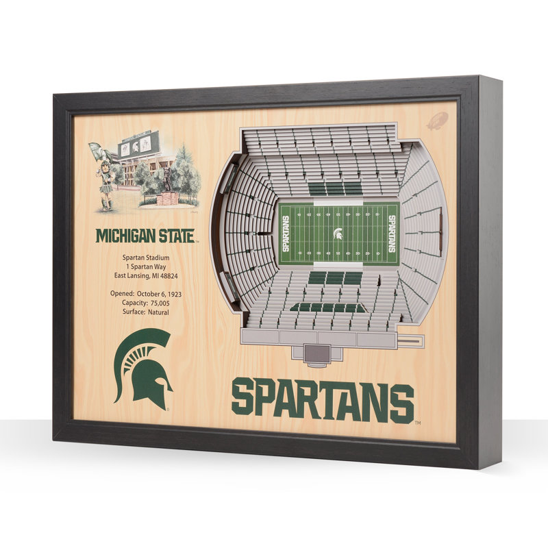 Traditional Entertainment Wall Decor, Michigan State Spartans