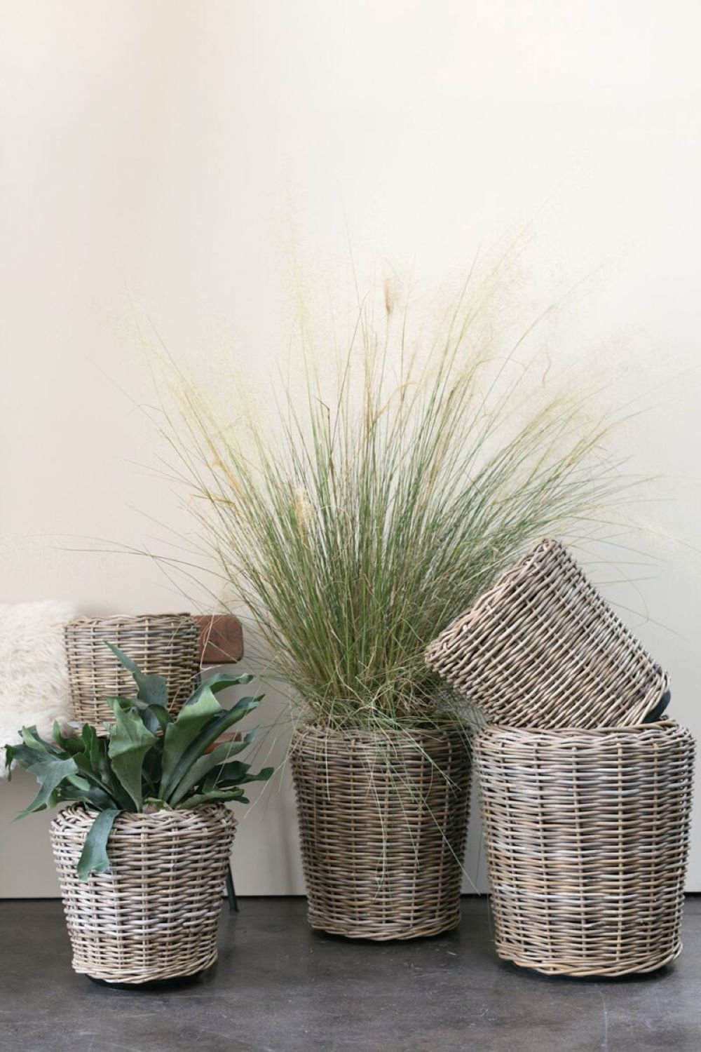 20" Cachepot, 19.5" H x 18" W x 18" D