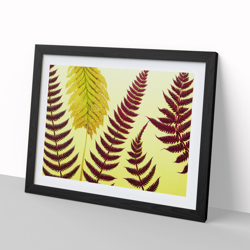 Fern Leaves - Single Picture Frame Print, 46cm H x 64cm W x 2cm D, Black
