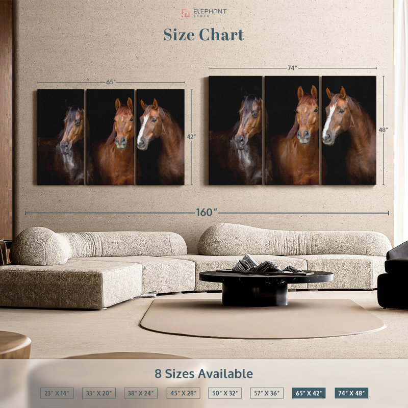 Animal «Brown Stallion Horses Canvas Print» sur, H 74 po x l 48 po