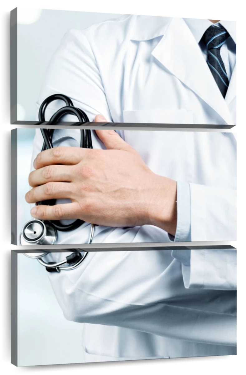 Ebern Designs Alcaraz Hospital Doctor On Duty | Wayfair
