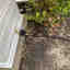 Customer photo 1 of 2
