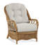  Everglade Rattan Arm Chair-27525513-61811606