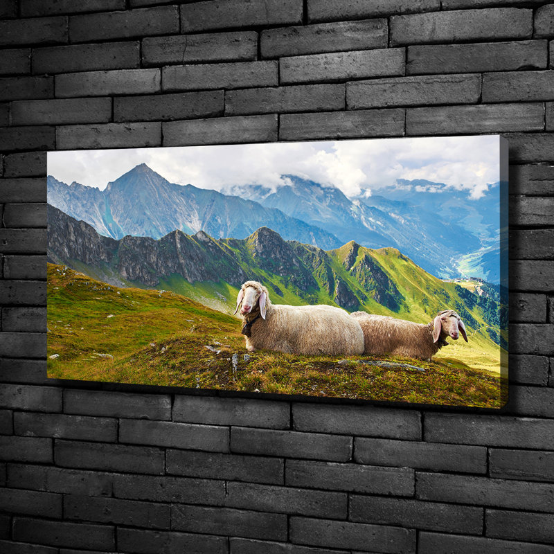 Sheep In The Alps - Wrapped Canvas Print