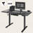 Mancheer Home Office Height Adjustable Standing Desk with USB Ports and Cable Management Tray-504311137-473508514