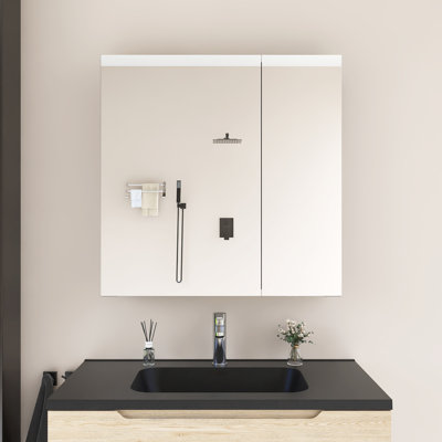 Rectangular Medicine Cabinet With Mirror