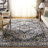 Alby Performance Oriental Rug-886984179