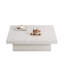 Coffee Table with Storage