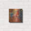  'Coq Motifs 4' by Art Licencing Studio Metal Wall Art, 12" x 12"-98699346