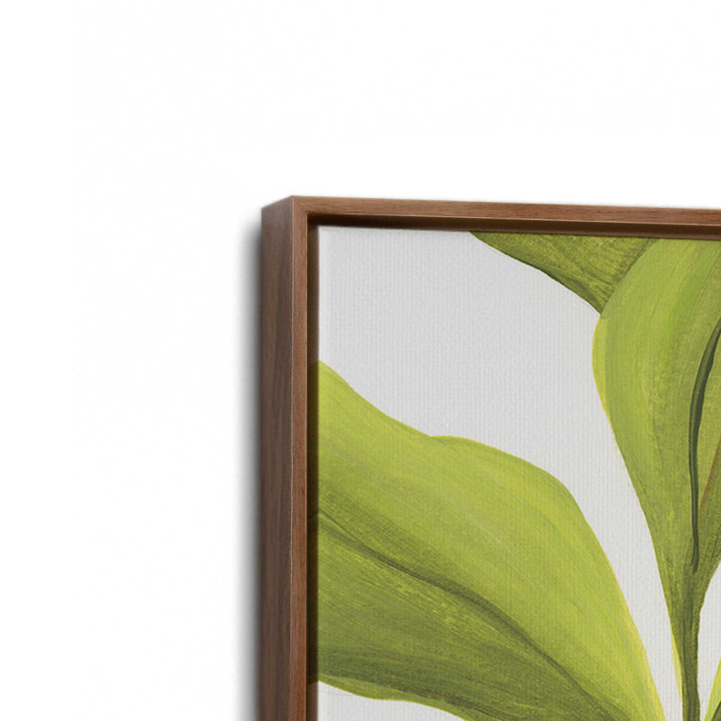 «Pots Plants» par Yvette St. Amant, reproduction d'art, H 16 po x l 12 po, Cadre flottant, Brun