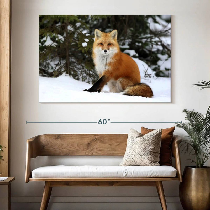 Renard roux d'hiver, H 34 po x l 51 po