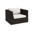 Delmar Armchair