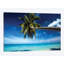 « palm tree pliage sur la plage, bora bora, les îlots de la société, polynésie française », reproduction de photo sur toile-32789492-72119993-72119994