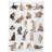 Tablecloth-41097334