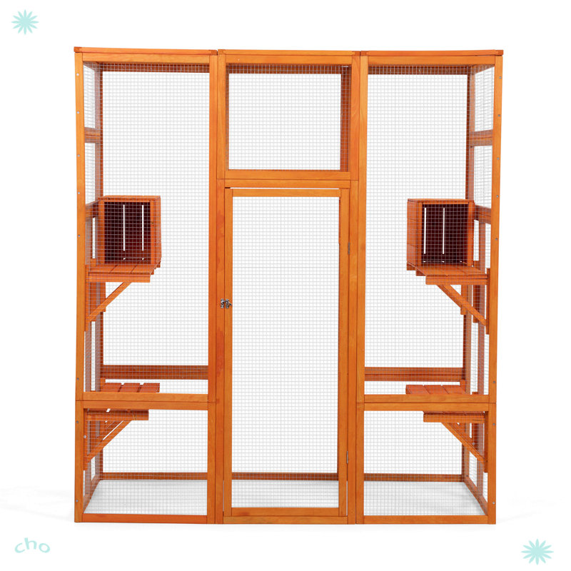 Grande cage à chat avec 5 perchoirs