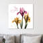 Pink Iris Joy - Wrapped Canvas Print-1538996861