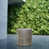 Slate Gray selected