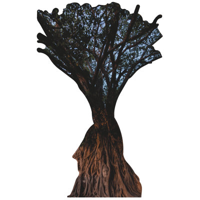 Bodhi Tree Buddha Head Thailand Cardboard Standup
