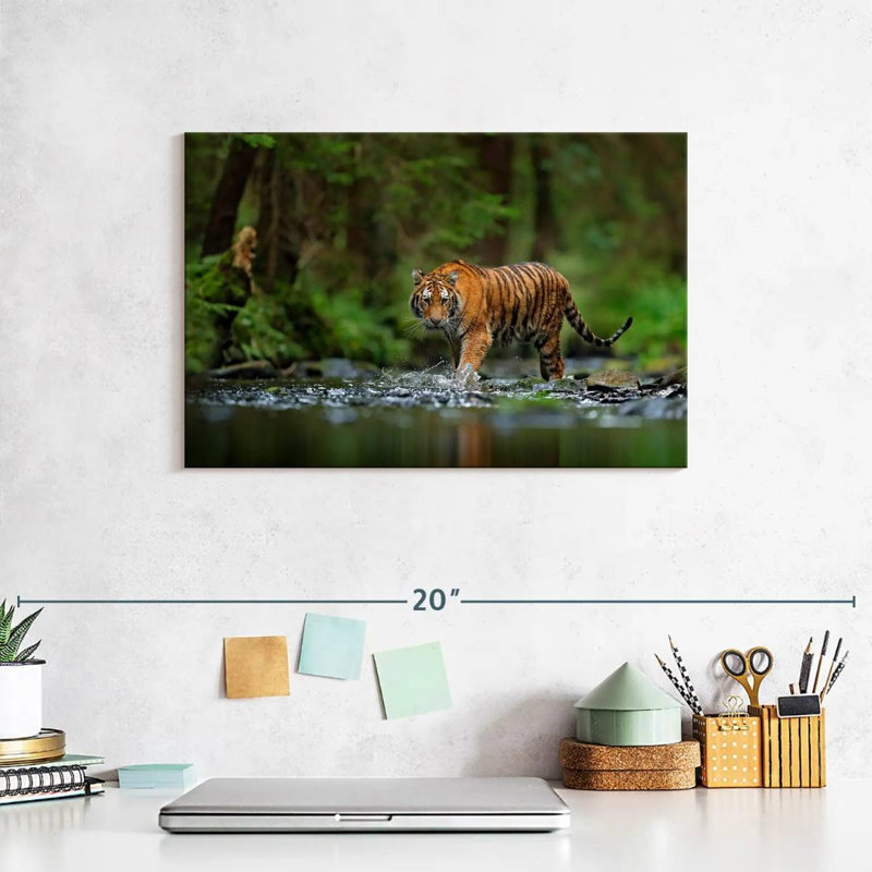 Brampt Tiger In The River, 8" H x 12" W