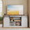 Hartin 58''W TV Stand with Sliding Barn Doors for TVs up to 65"