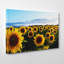 Wrapped Canvas Print-19096863