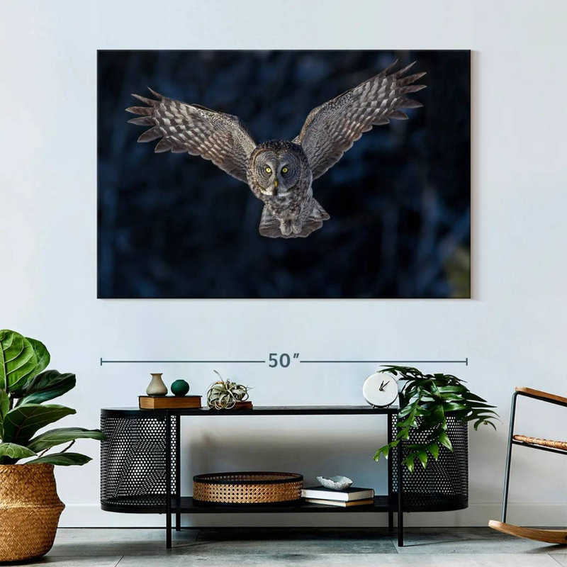 Hibou gris volant, H 34 po x l 51 po