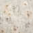 Apricot Grayish