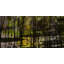 « great hill » par parvez taj,, reproduction de photo sur toile tendue-9118216