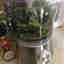 Photos des clients 1 de 5