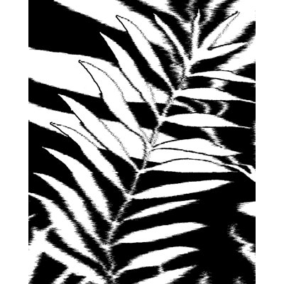 Floral Wallpaper