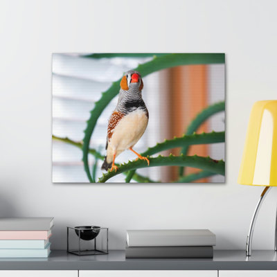 No Frame Print on Canvas