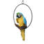 Statue de perroquet Polly au paradis-5821621