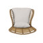 Ensemble de 2 chaises de patio en osier avec coussins Tapscott-1010270464