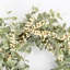 26" Every Day Eucalyptus Berry Wreath for Front Door -1679669794