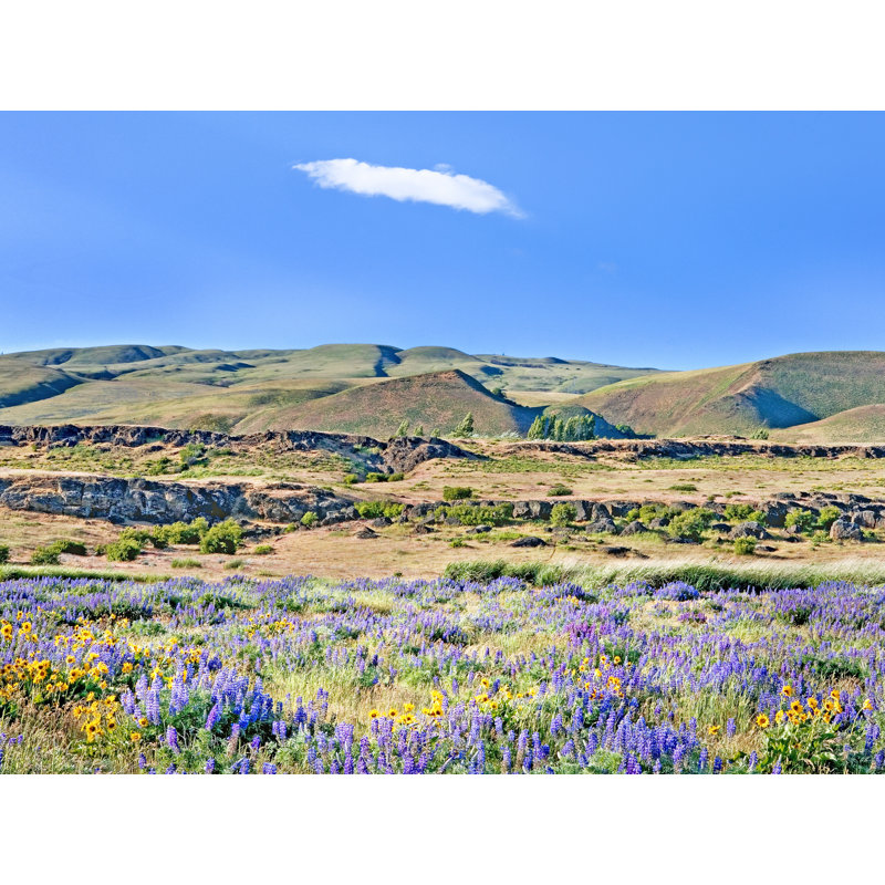 Columbia Hills Spring Bloom, Columbia River Gorge, Washington State Print by Bruce Heinemann, Black Framed Paper