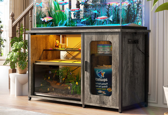 Top-Rated Aquarium Stands