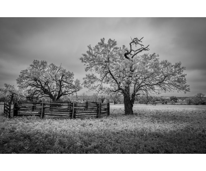 Uvalde County Texas - Estampe numérique sur papier de qualité supérieure avec cadre noir par Gary Swenor