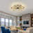 Lienhardt Ceiling Fan with LED Lights