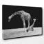 Black and White Photographic - Wrapped Canvas-19090909