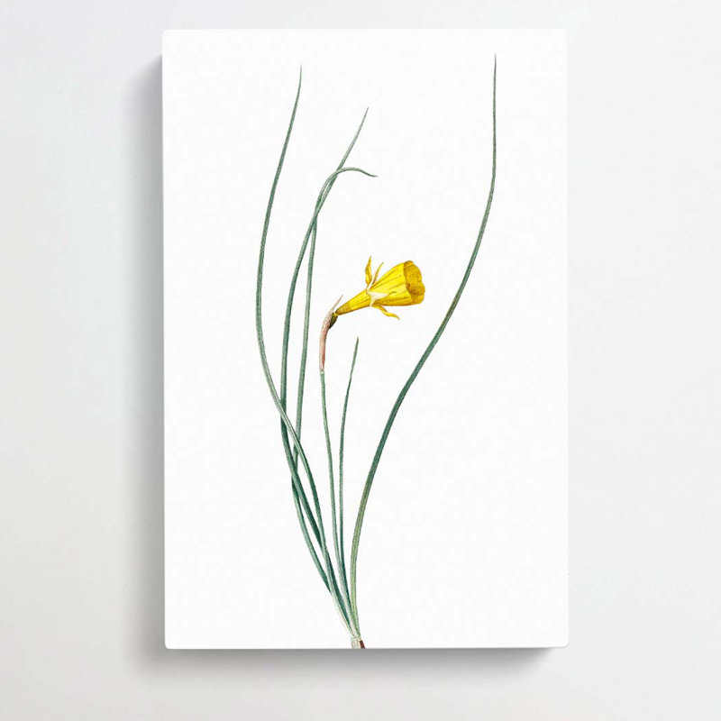 Daffodil by Harunobu Suzuki - Wrapped Canvas, 50cm H x 35cm W x 3cm D