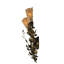 Rustic Lodge 2 - Light Armed Sconce