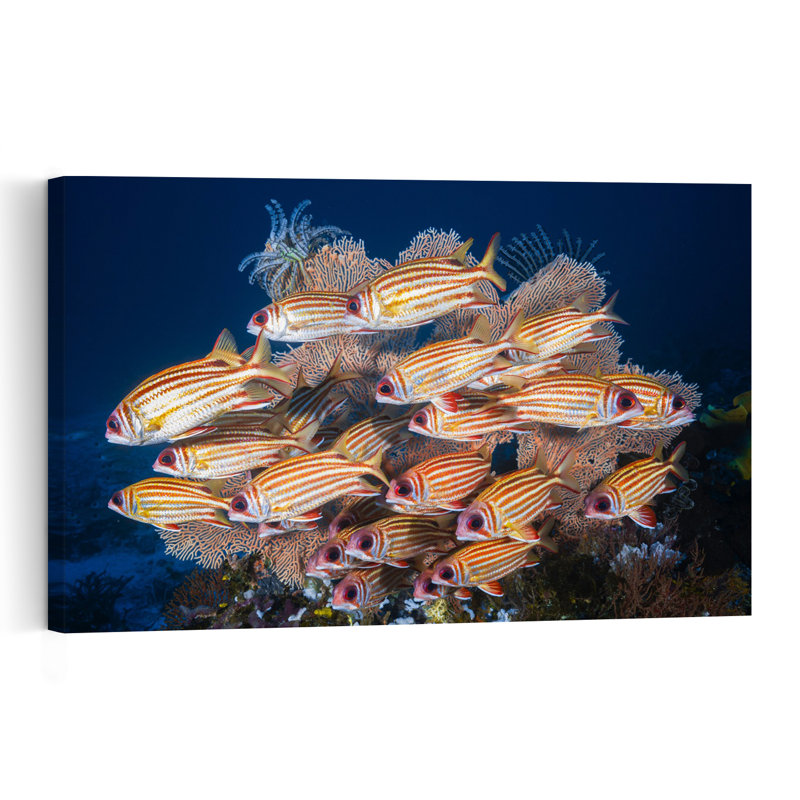 School Of Red Fish Colorful Vibrant Fish Nature Ocean Wall Art Print, 40.64cm H x 60.96cm W