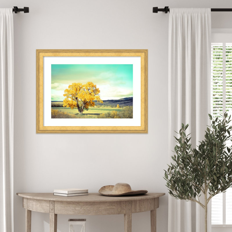 «First Tree To Turn» par Annie Bailey, reproduction d'art encadrée sur bois, 20 x 27