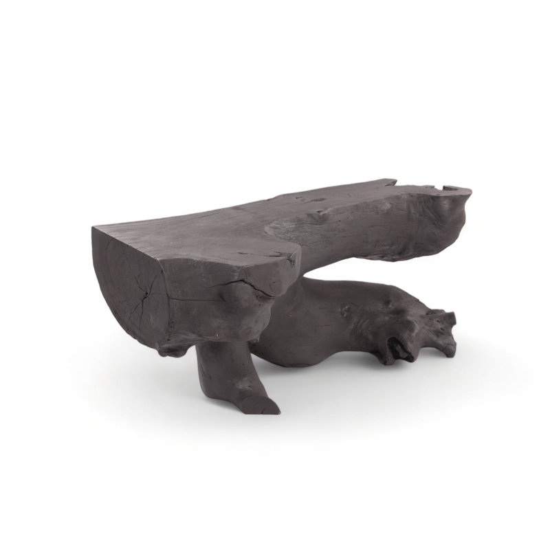 Console noire sculptée naturelle - 2